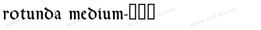 rotunda medium字体转换